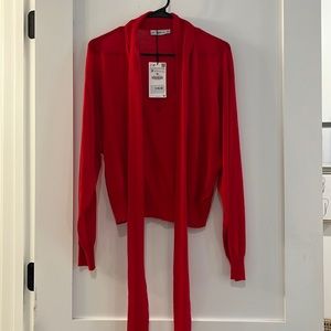 NWT Zara Sweater